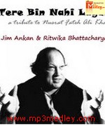Tere Bin Nahi Lagda song download